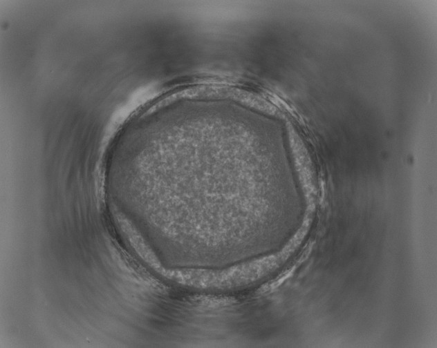 X0000088400343200706191403