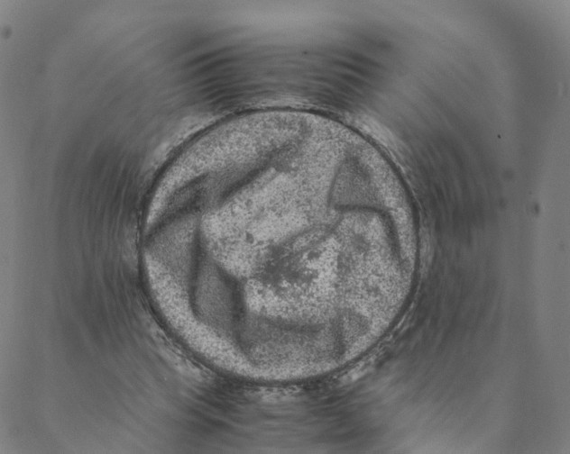 X0000088400345200706191403