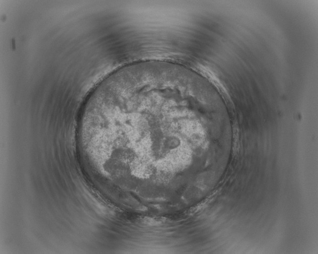 X0000088400346200706191403