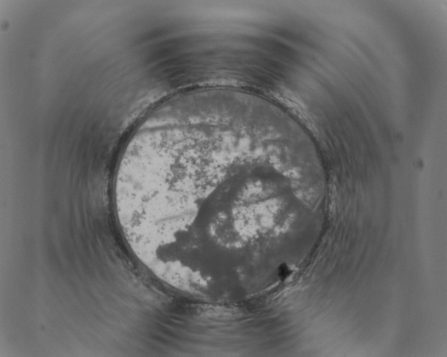 X0000088400347200706191403