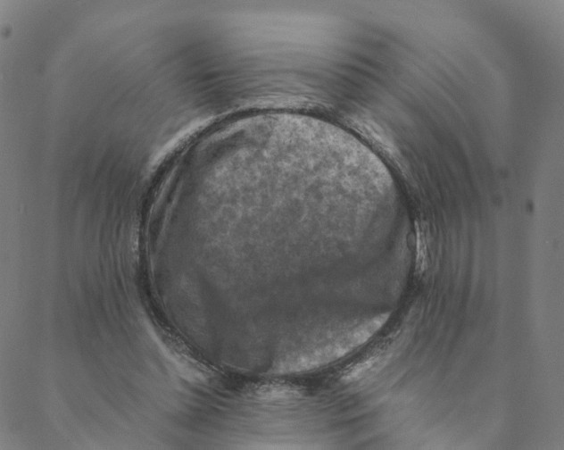 X0000088400348200706191403