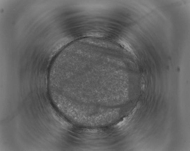 X0000088400349200706191403