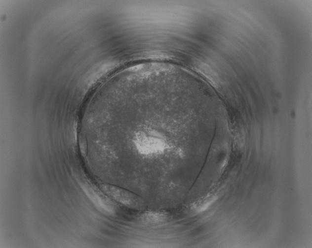 X0000088400350200706191403