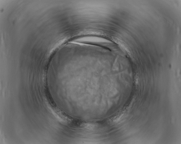 X0000088400352200706191403