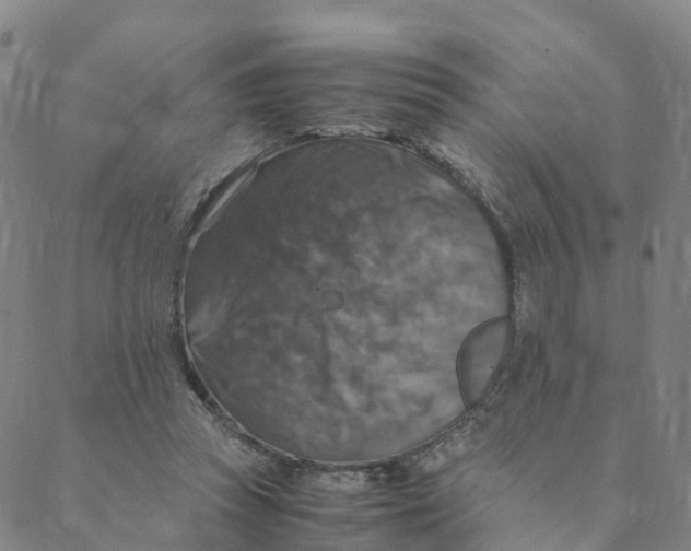 X0000088400353200706191403