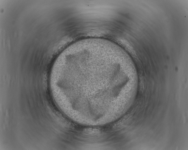 X0000088400354200706191403