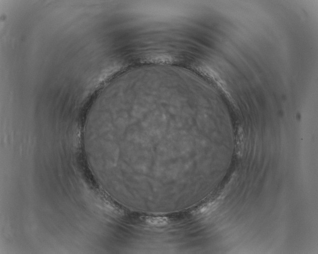 X0000088400355200706191403