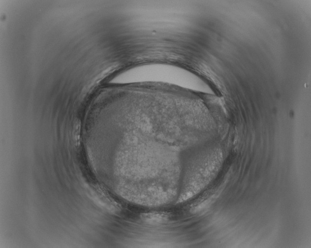 X0000088400356200706191403