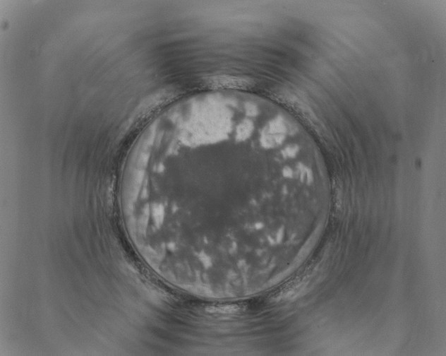 X0000088400357200706191403