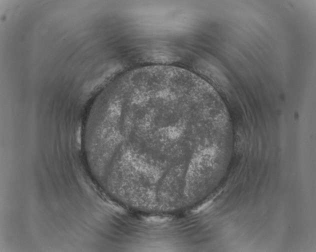 X0000088400358200706191403