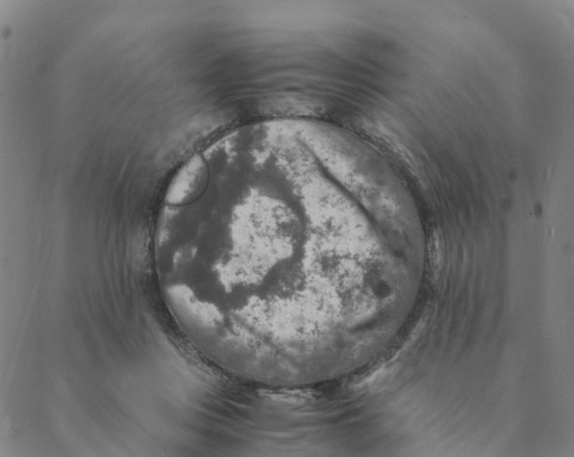 X0000088400359200706191403