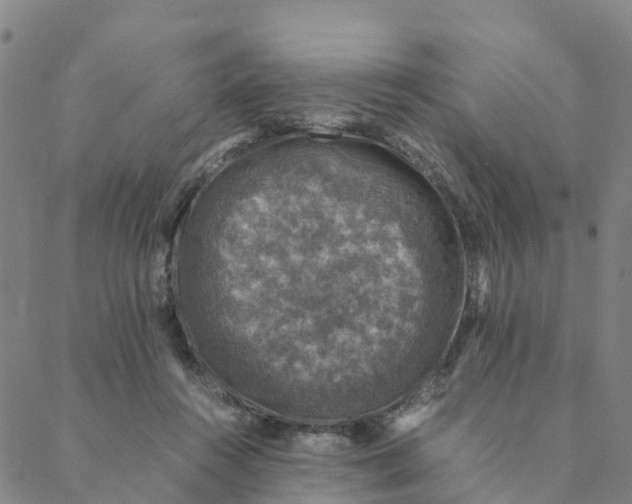 X0000088400360200706191403