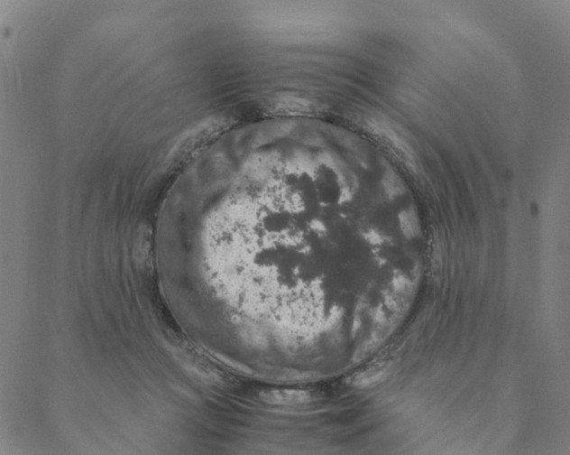 X0000088400361200706191403