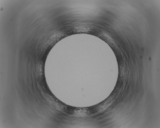 X0000088400362200706191403