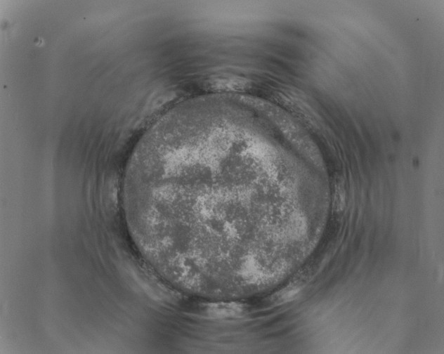 X0000088400363200706191403