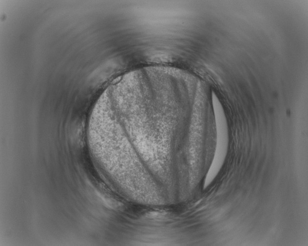 X0000088400364200706191403