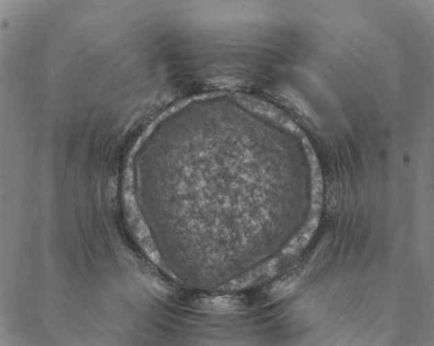 X0000088400365200706191403