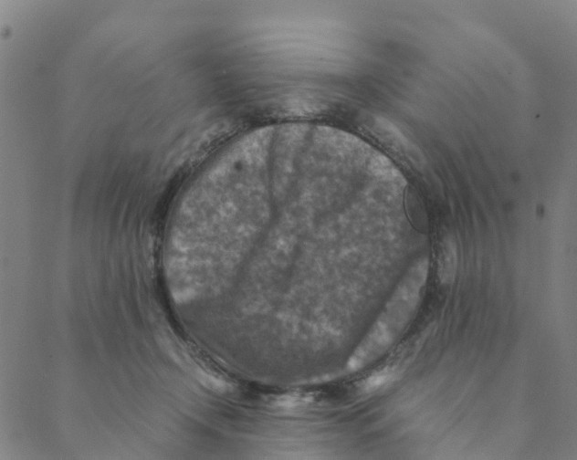 X0000088400366200706191403