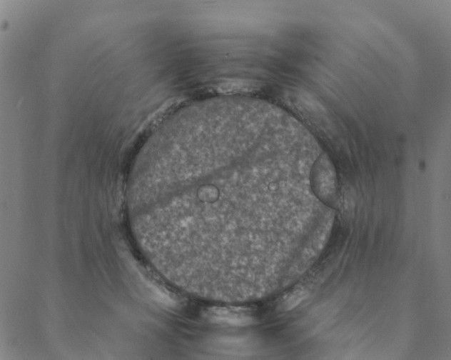 X0000088400367200706191403