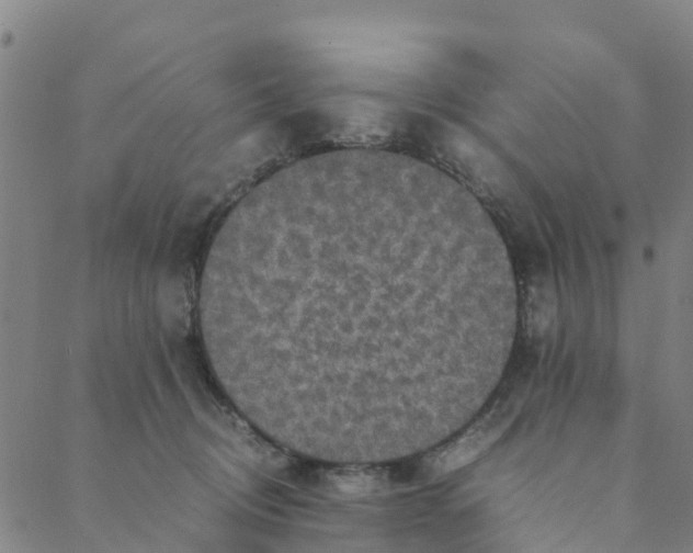 X0000088400370200706191403