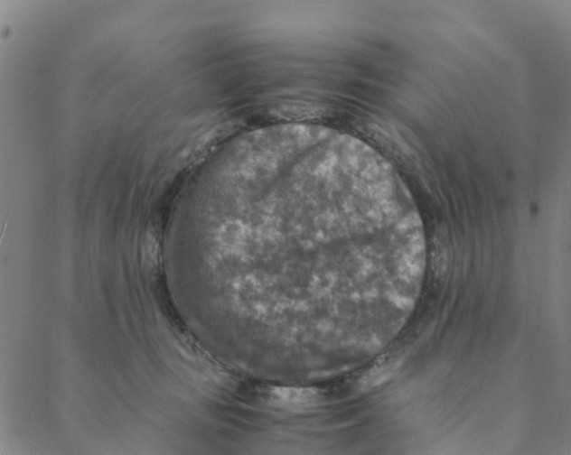 X0000088400371200706191403