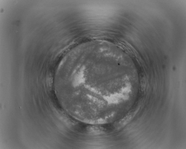 X0000088400372200706191403