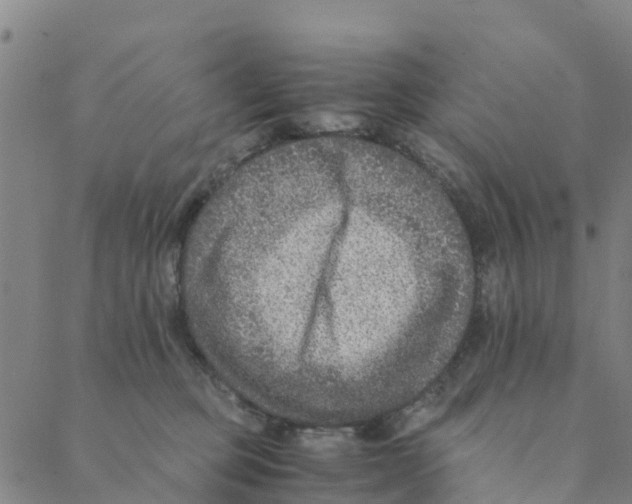 X0000088400373200706191403