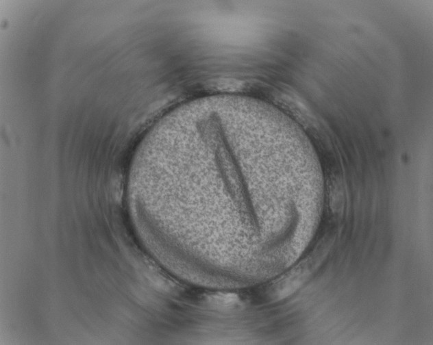 X0000088400374200706191403