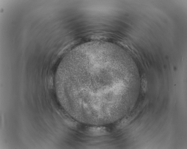 X0000088400375200706191403