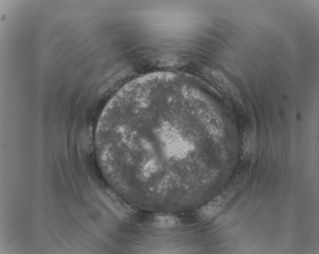 X0000088400376200706191403