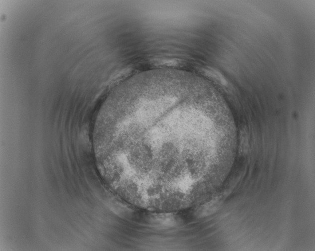 X0000088400377200706191403