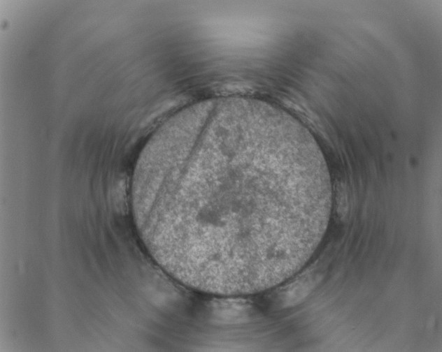 X0000088400378200706191403