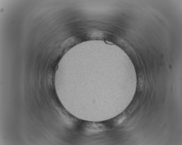 X0000088400379200706191403