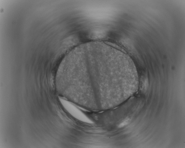 X0000088400380200706191403