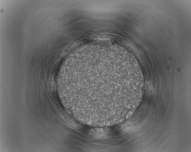 X0000088400381200706191403