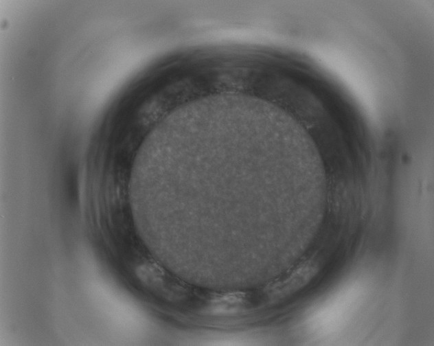 X0000088400382200706191403