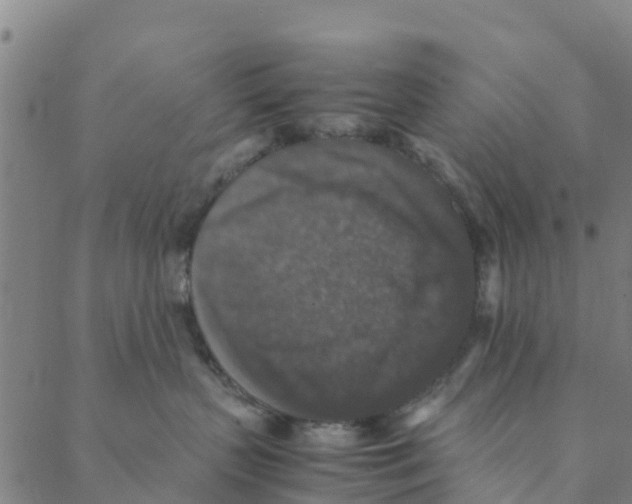 X0000088400383200706191403