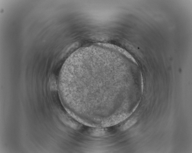 X0000088400384200706191404