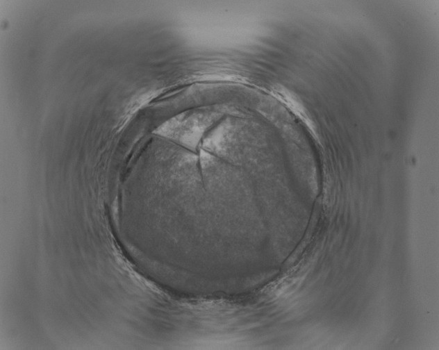 X0000088400385200706191403