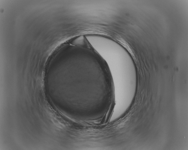 X0000088400387200706191403