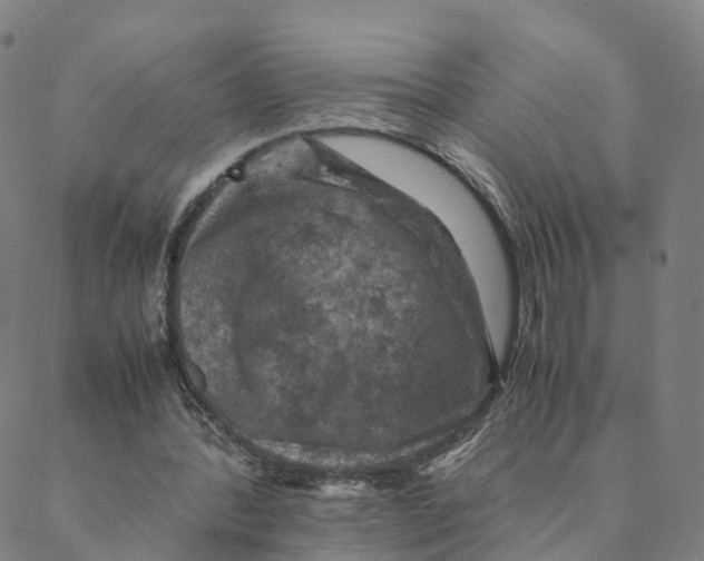 X0000088400388200706191403