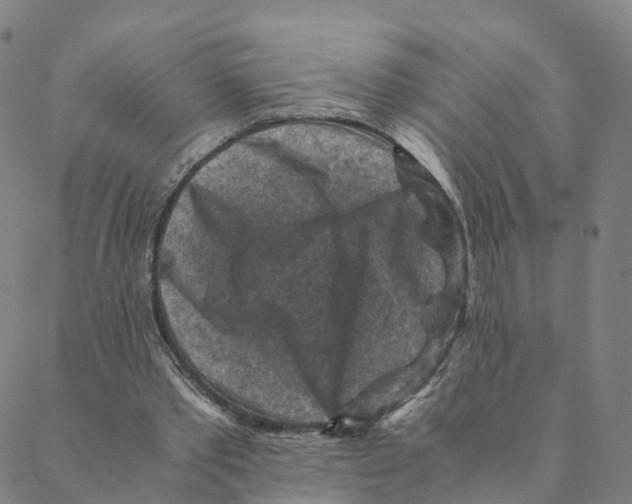 X0000088400389200706191403