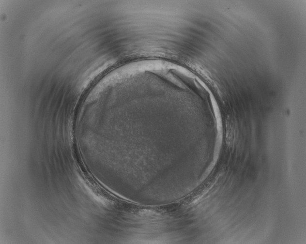 X0000088400390200706191403