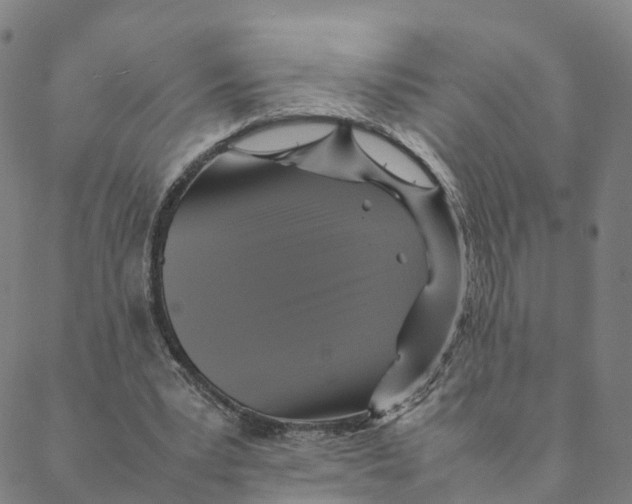 X0000088400391200706191403