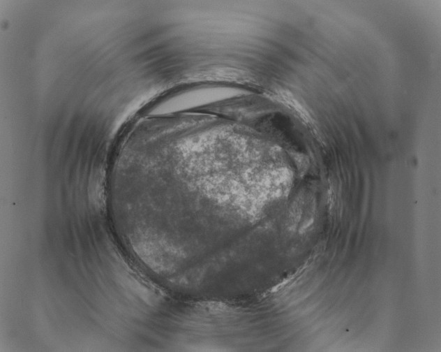 X0000088400392200706191403