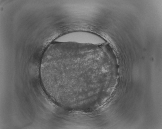 X0000088400393200706191403