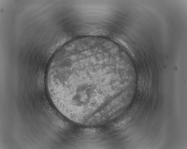 X0000088400394200706191403