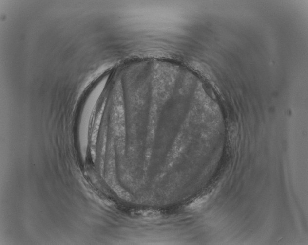 X0000088400395200706191403