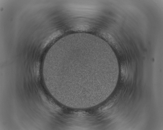 X0000088400396200706191403