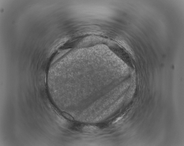 X0000088400397200706191403